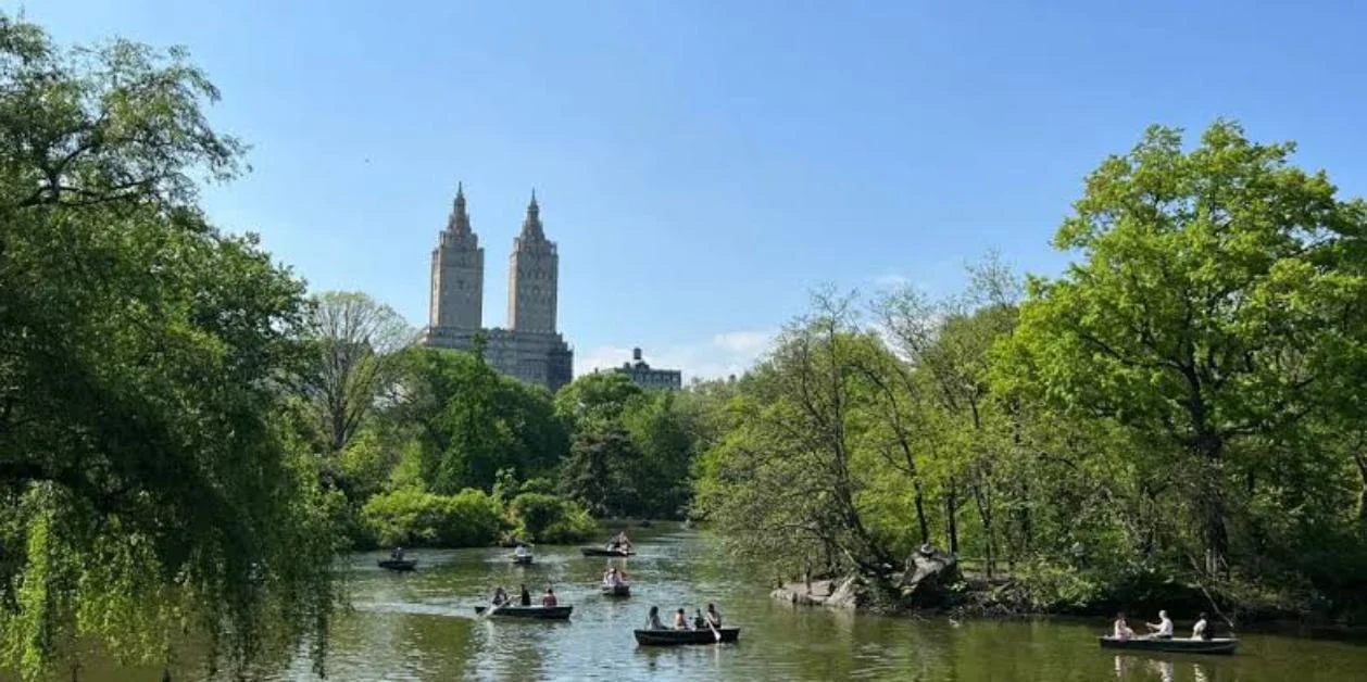 Caption for NYC