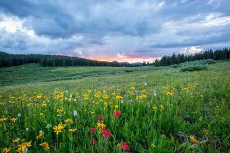 Caption for Spring to Brighten Your Instagram Posts