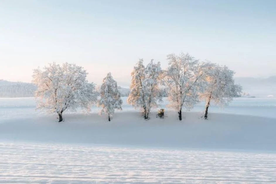 Trending Caption for Snow 