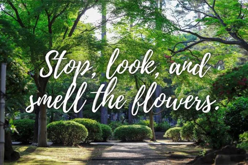 Nature Caption for Spring