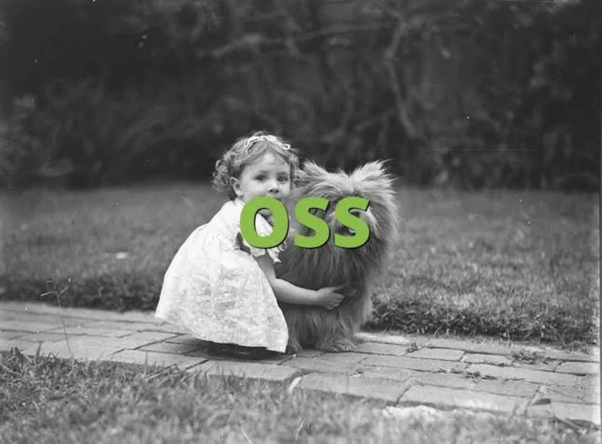 OSS Meaning in Text: What Does OSS Mean in Chat, Social Media & Texting