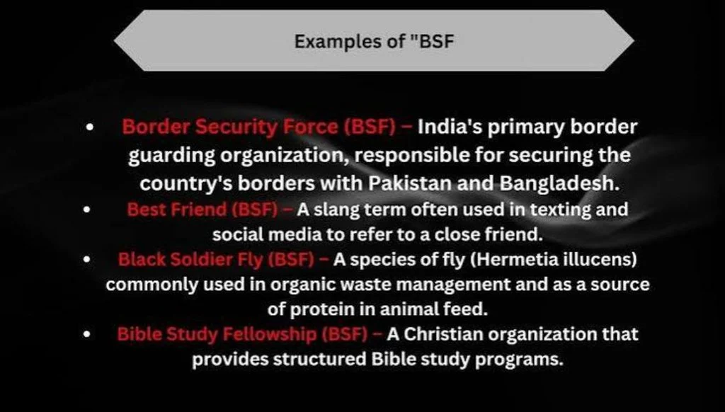 Different Meanings of BSFS in Other Fields