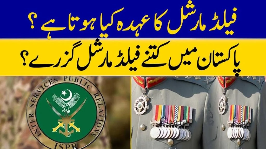 Different Meanings of PK in Other Fields