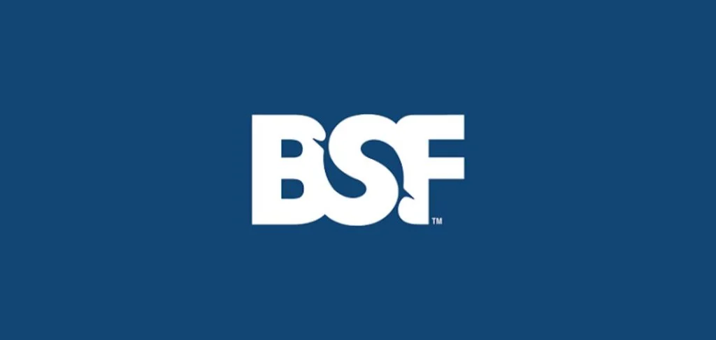Is BSFS Still Popular? Trends & Online Usage